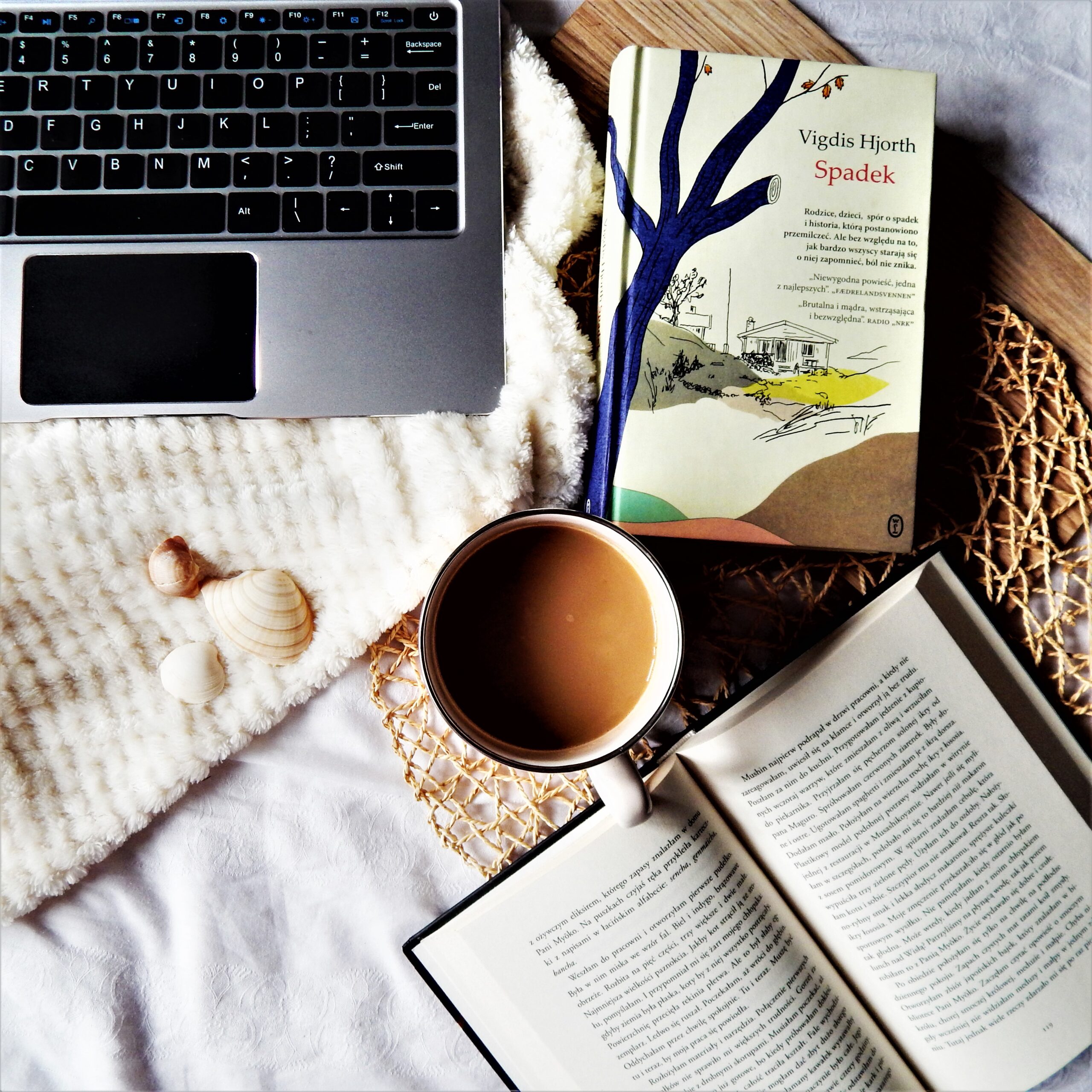 Vigdis Hjorth - Spadek